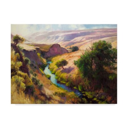 Trademark Fine Art Steve Henderson 'The Pataha' Canvas Art, 18x24 ALI32048-C1824GG